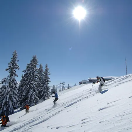 酒店 Alpenrose Mit Gourmet-restaurant Azalee 4*