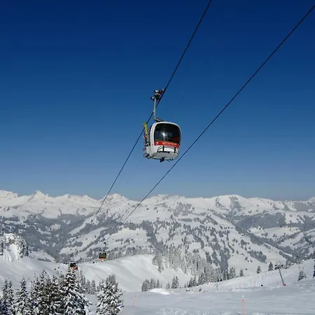 酒店 Alpenrose Mit Gourmet-restaurant Azalee 格施塔德