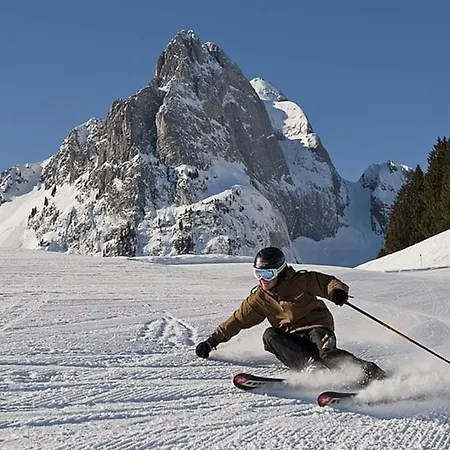 Alpenrose Mit Gourmet-restaurant Azalée 4* Gstaad