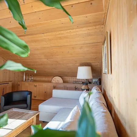 Alpenrose Mit Gourmet-restaurant Azalee 4* Gstaad