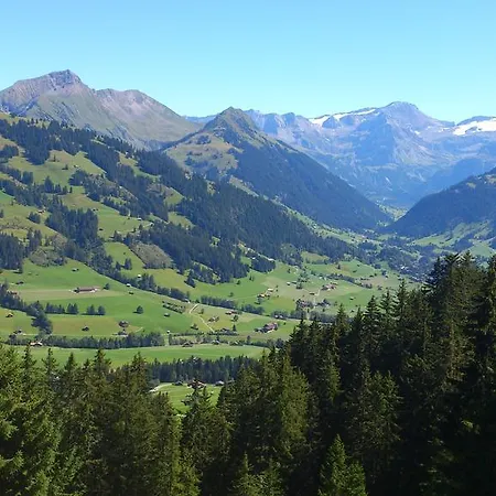 Hotel Alpenrose Mit Gourmet-restaurant Azalee Gstaad
