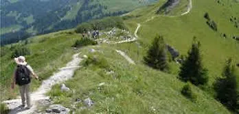 Alpenrose Mit Gourmet-restaurant Azalee