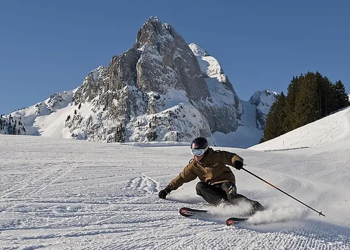 Alpenrose Mit Gourmet-restaurant Azalee 4* 格施塔德